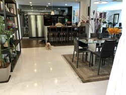 Shamrock Park (D10), Detached #503036281